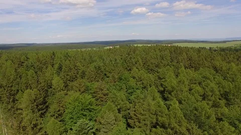 Flight over the spring woods Stock Footage 76595177