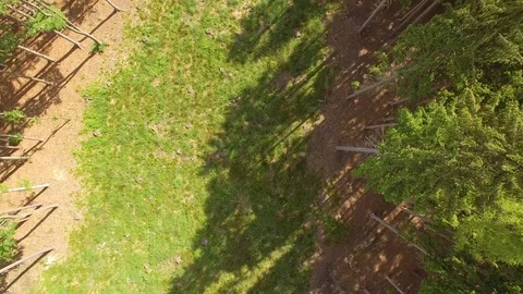 Flight over the spring woods Stock Footage 76595211