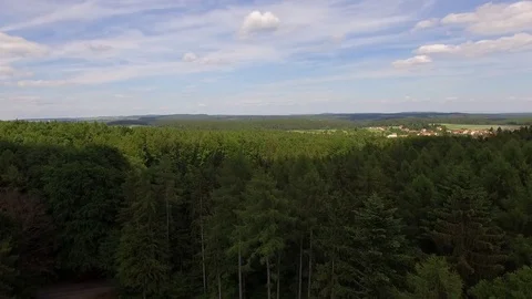 Flight over the spring woods Stock Footage 76595846