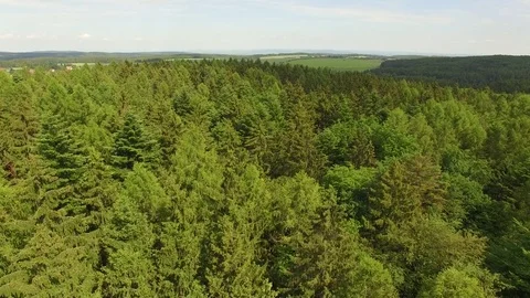 Flight over the spring woods Stock Footage 76595994