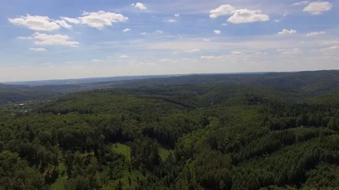 Flight over the spring woods Stock Footage 76596062