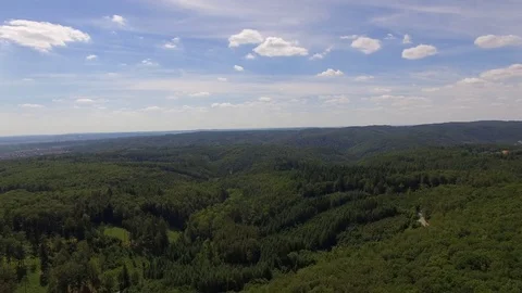 Flight over the spring woods Stock Footage 76596135