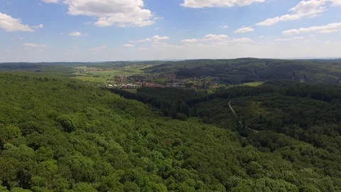 Flight over the spring woods Stock Footage 76596214