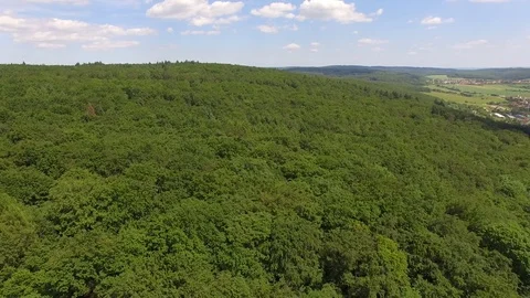 Flight over the spring woods Stock Footage 76596328