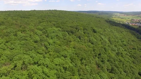 Flight over the spring woods Stock Footage 76596401