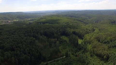 Flight over the spring woods Stock Footage 76596476