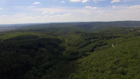 Flight over the spring woods Stock Footage 76596552