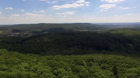 Flight over the spring woods Stock Footage 76596672