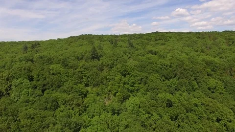 Flight over the spring woods Stock Footage 76597055