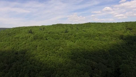 Flight over the spring woods Stock Footage 76597099