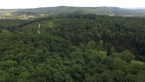 Flight over the spring woods Stock Footage 76597248