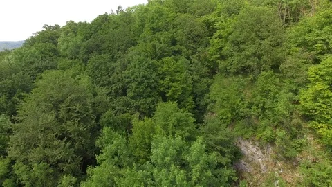 Flight over the spring woods Stock Footage 76610784