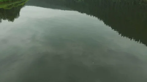 Flight over the spruce forest and over the Chusovaya river Stock Footage 113178108