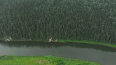 Flight over the spruce forest and over the Chusovaya river Stock Footage 113178133