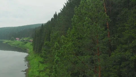 Flight over the spruce forest and over the Chusovaya river Stock Footage 113178136