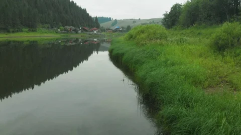 Flight over the spruce forest and over the Chusovaya river Stock Footage 113178182