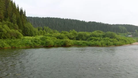 Flight over the spruce forest and over the Chusovaya river Stock Footage 113178403