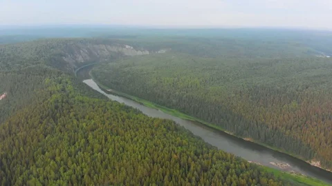 Flight over the spruce forest and over the Chusovaya river Stock Footage 113178448