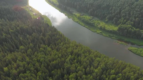 Flight over the spruce forest and over the Chusovaya river Stock Footage 113178480