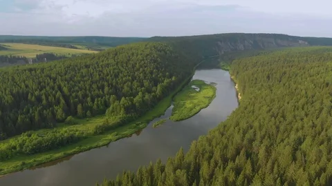 Flight over the spruce forest and over the Chusovaya river Stock Footage 113178523