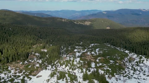Flight over the spruce forest mountain massif, spring in the Carpathians, m.. Stock Footage 242811627