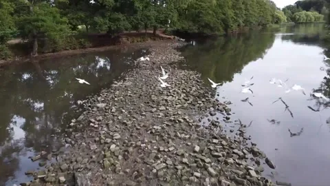 Flight over a stone path, set in a lake, as a flock of birds takes flight 4k" Stock Footage 210233948