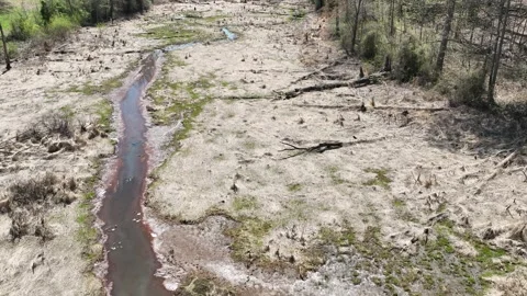 Flight over stream channel and floodplain in Prince George's County Maryland 스톡 동영상 246249747