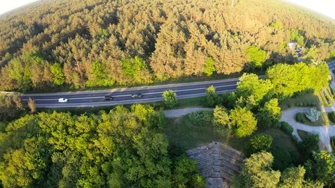 Flight over street and forest Stock Footage 89454601
