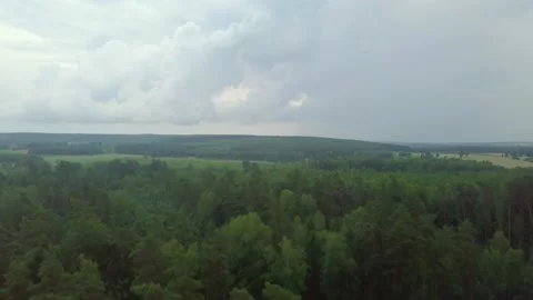 Flight over summer forest after storm Stock Footage 156707707