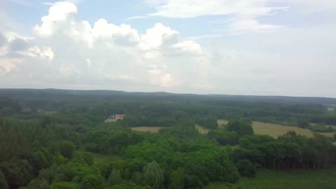 Flight over summer forest after storm Stock Footage 156707738