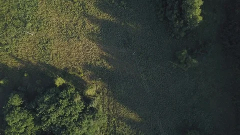 Flight over summer forest Vídeos de archivo 91878375