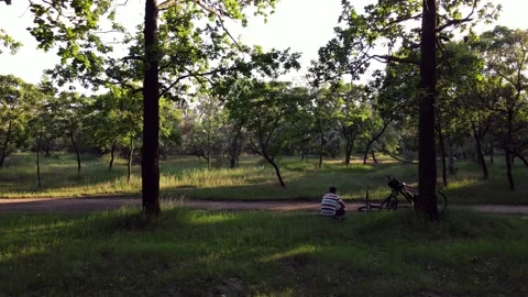 Flight over the Summer Forest. Forest Reserve Vídeo Stock 134470675