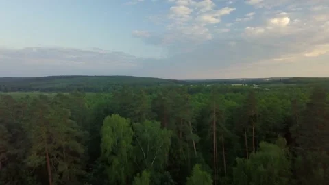 Flight over summer forest in Poland. 4k AERIAL footage. Stock Footage 156278112