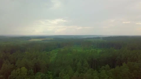 Flight over summer forest in Poland. Aerial video. Stock Footage 156707663
