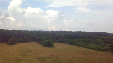 Flight over summer forest in Poland. Aerial video. Stock Footage 156707762