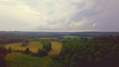 Flight over summer forest in Poland. Aerial video. Stock Footage 156707786