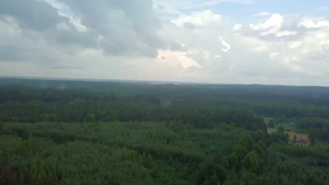 Flight over summer forest in Poland. Aerial video. Stock Footage 156707823