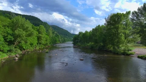 Flight Over a Summer River Stock Footage 320187660