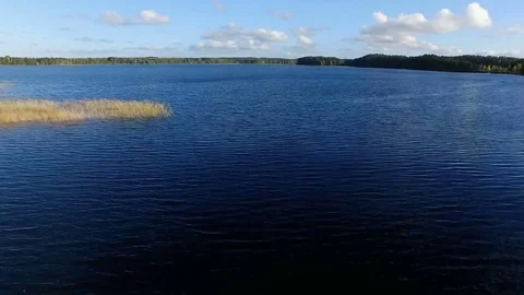 Flight over the surface of the lake Vídeos de archivo 81569809