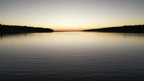 Flight over the surface of a lake Stock Footage 299139285