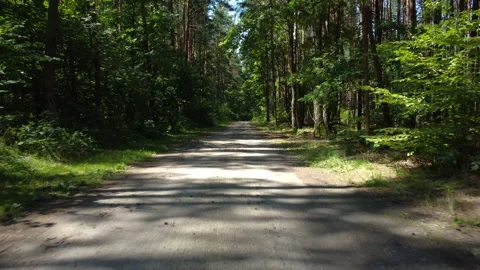Flight over a surface of straight road through the forest Stock Footage 165162253