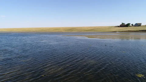 Flight over the surface of the water and the green shore Stock Footage 153468271