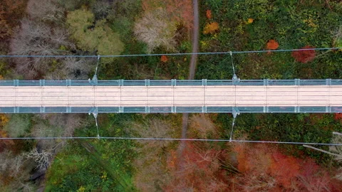 Flight over suspension bridge Geierlay, Germany in the autumn Stock Footage 164985757