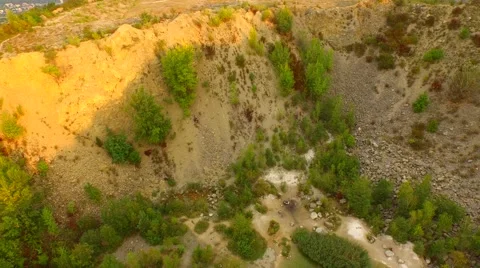 Flight over Swamps. Stock Footage 55073567
