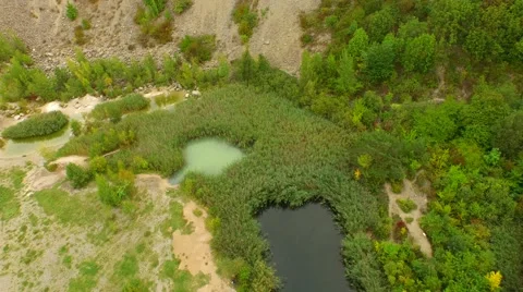 Flight over Swamps. Stock Footage 55073721