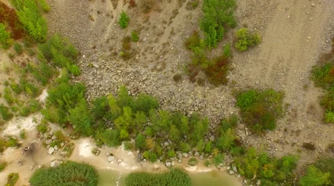 Flight over Swamps. Stock Footage 55073913