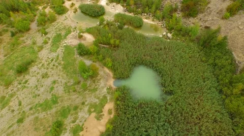 Flight over Swamps. Stock Footage 55074439