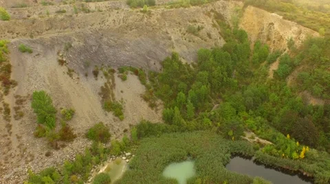 Flight over Swamps. Stock Footage 55074782