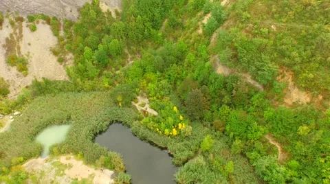 Flight over Swamps. Stock Footage 55075247