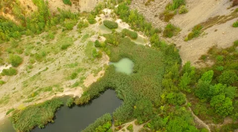 Flight over Swamps. Stock Footage 55075479